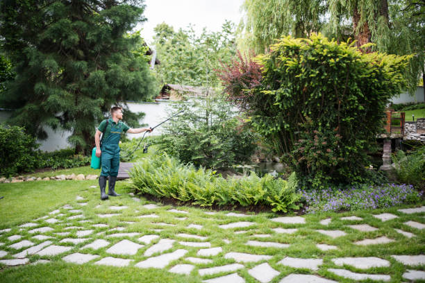 Best Wildlife Control Services  in Edgewood, FL