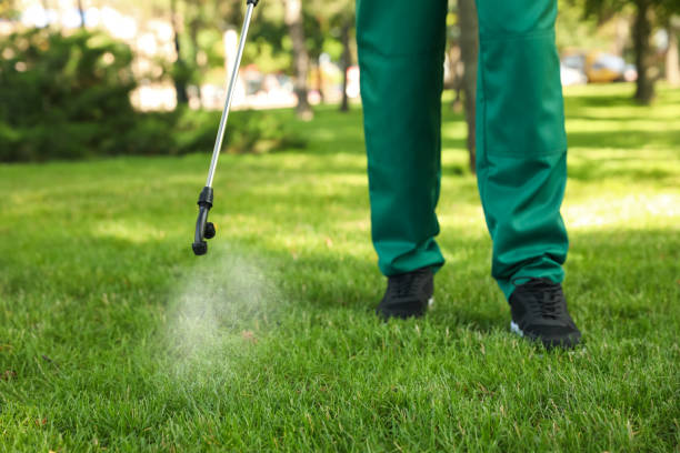 Best Cockroach Control Services  in Edgewood, FL