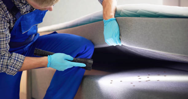 Best Residential Pest Control  in Edgewood, FL